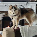 Emie & Charlie T Avatar