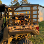 Linda P Charlotte Avatar